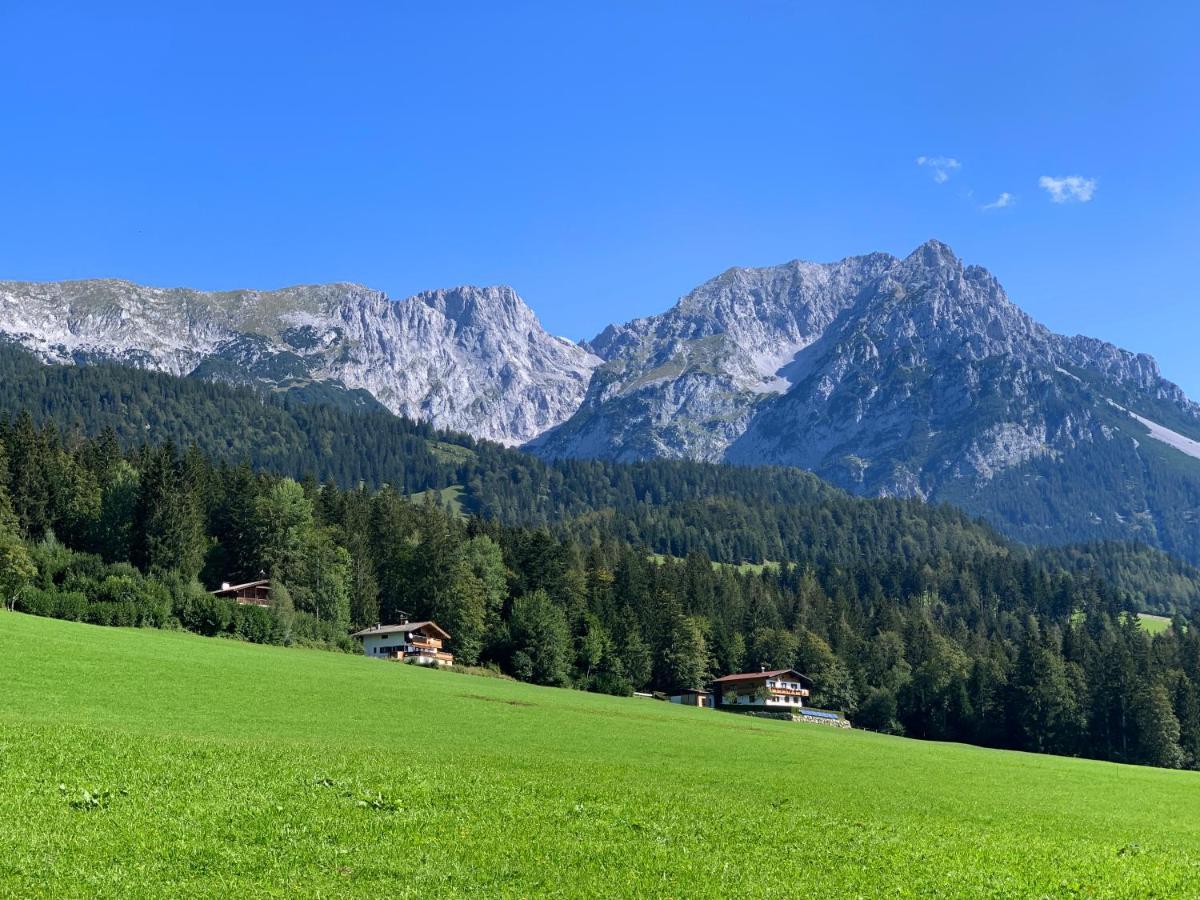Traumhafte Lage, Einzigartiges Panorama Lejlighed Scheffau am Wilden Kaiser Eksteriør billede