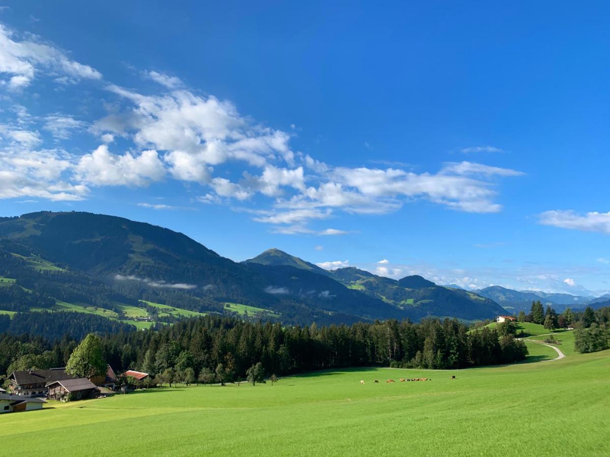 Traumhafte Lage, Einzigartiges Panorama Lejlighed Scheffau am Wilden Kaiser Eksteriør billede