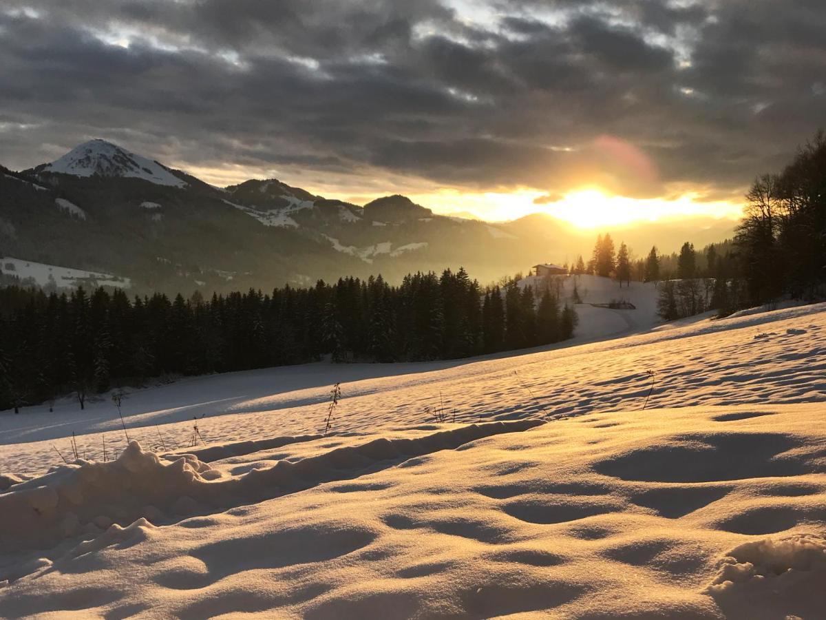 Traumhafte Lage, Einzigartiges Panorama Lejlighed Scheffau am Wilden Kaiser Eksteriør billede